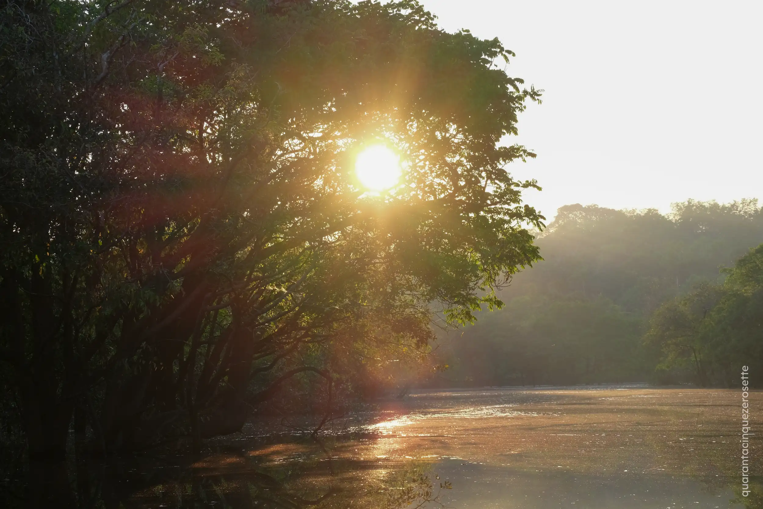 Da qualche parte vicino a Manaus, Amazonas