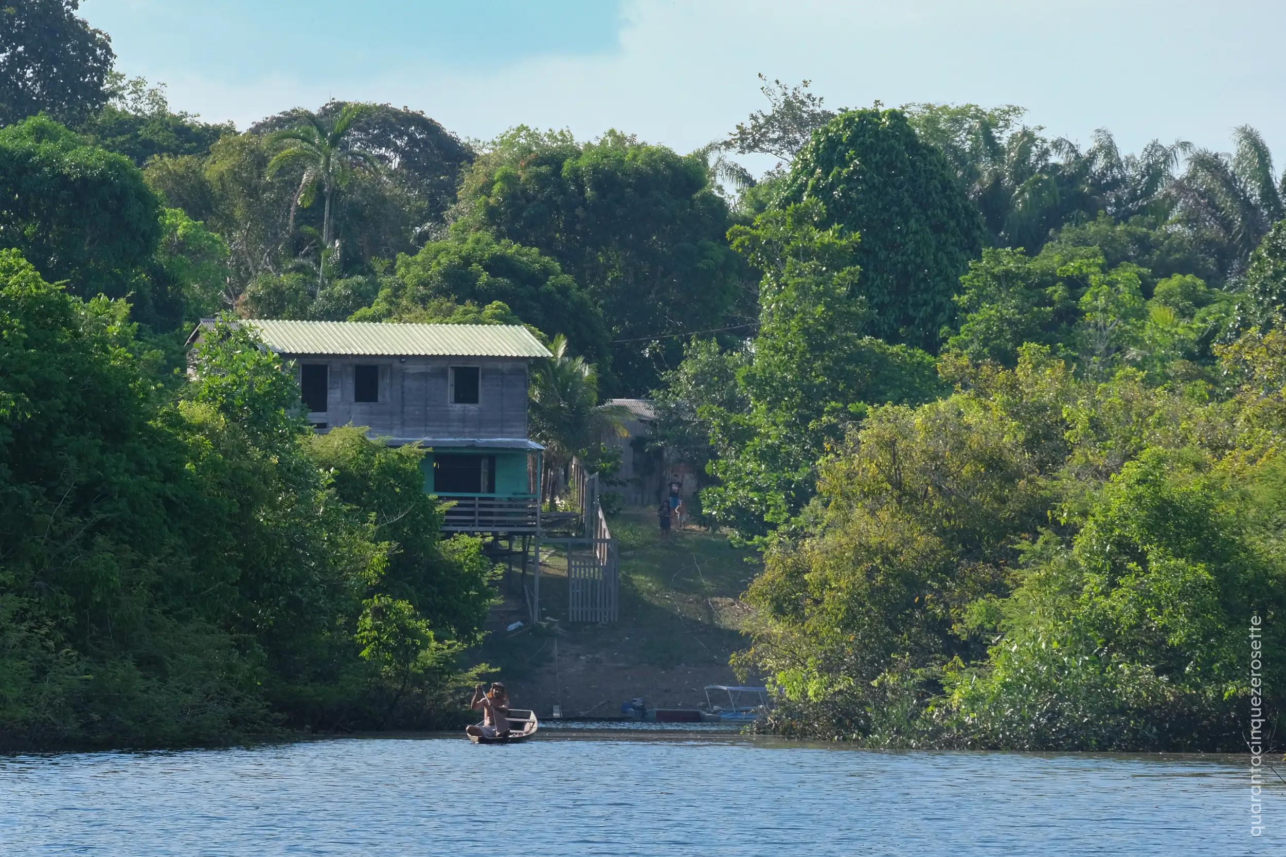Da qualche parte vicino a Manaus, Amazonas