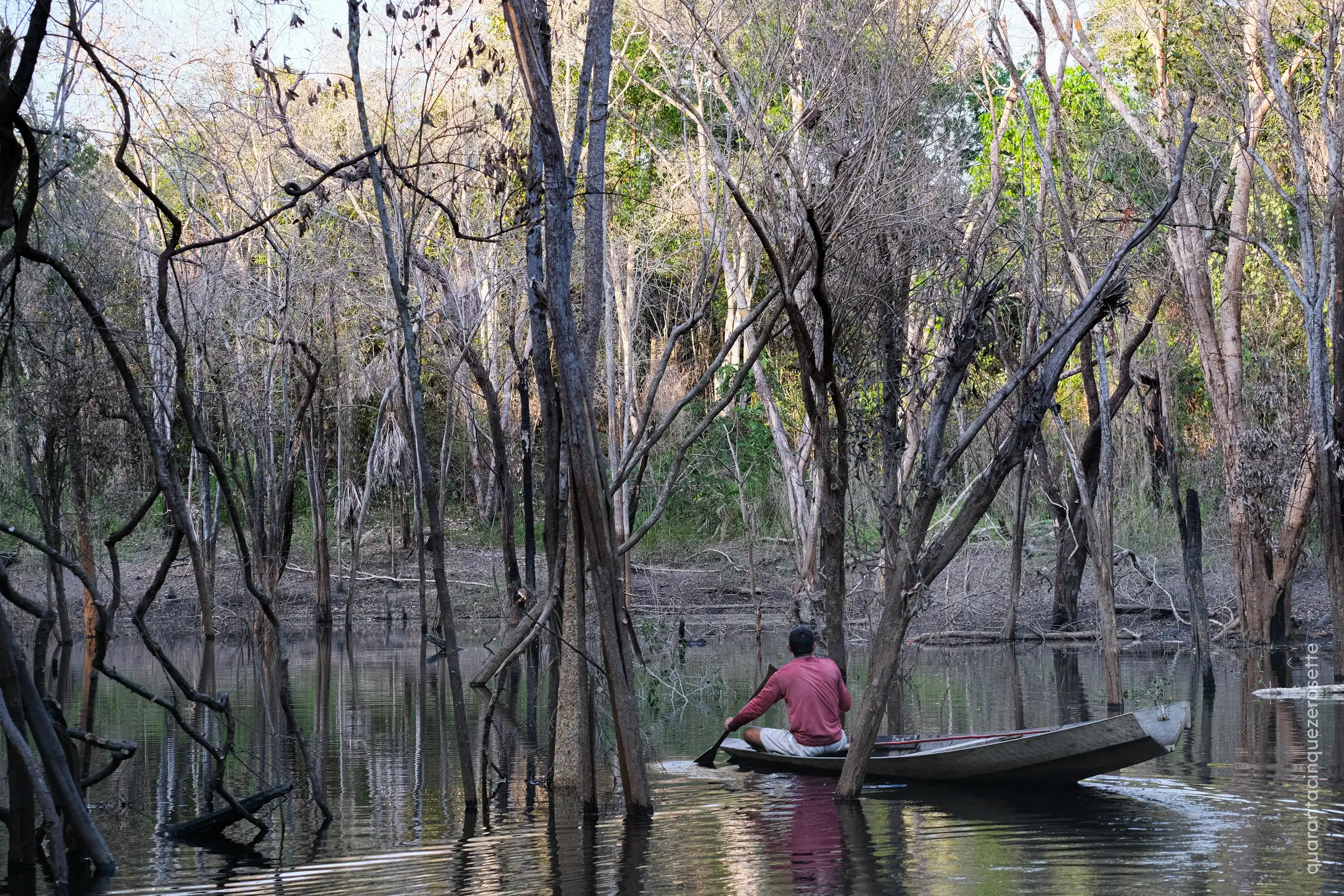 Da qualche parte vicino a Manaus, Amazonas
