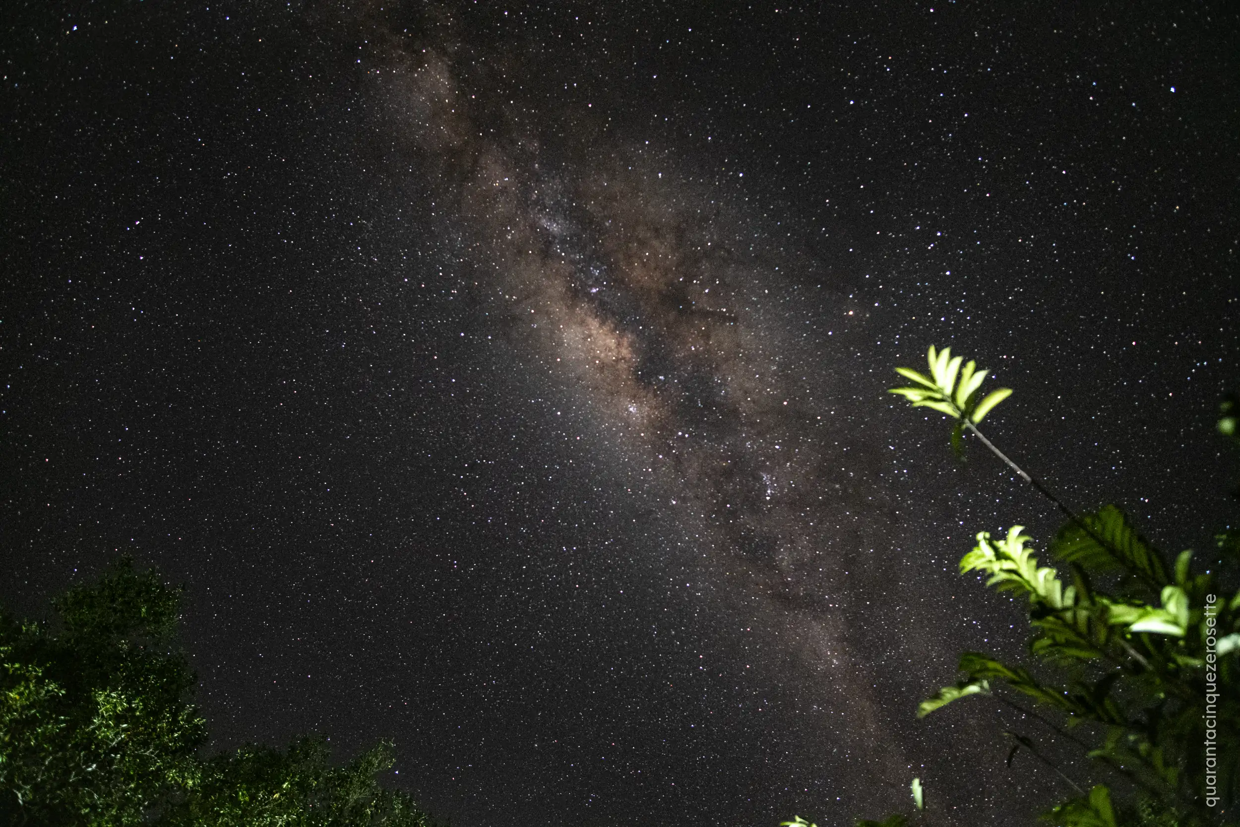 Da qualche parte vicino a Manaus, Amazonas