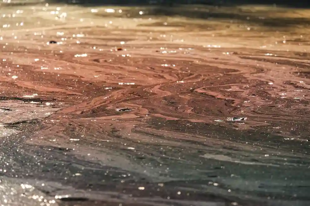 Amazonas e Maranhão