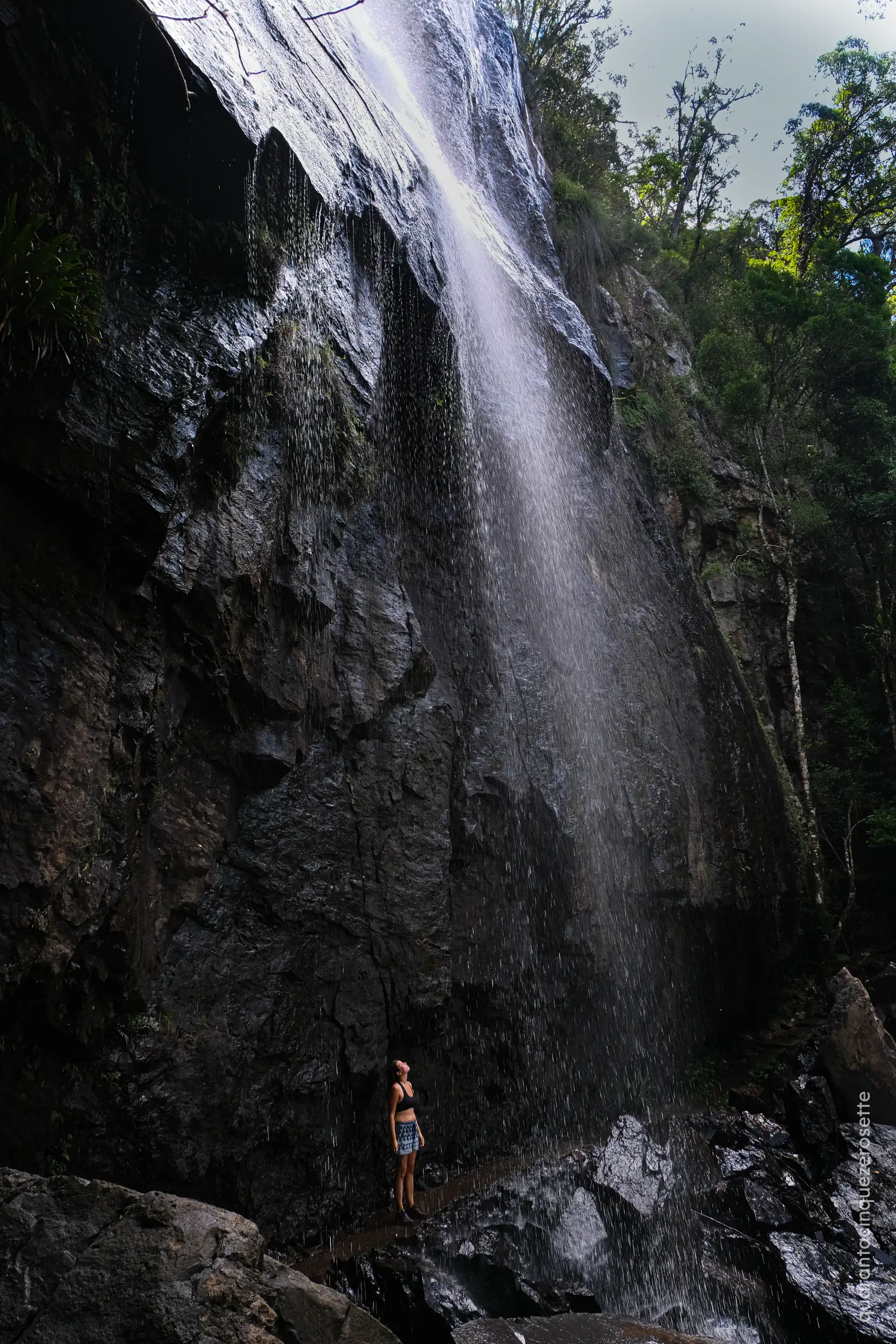 Springbrook National Park