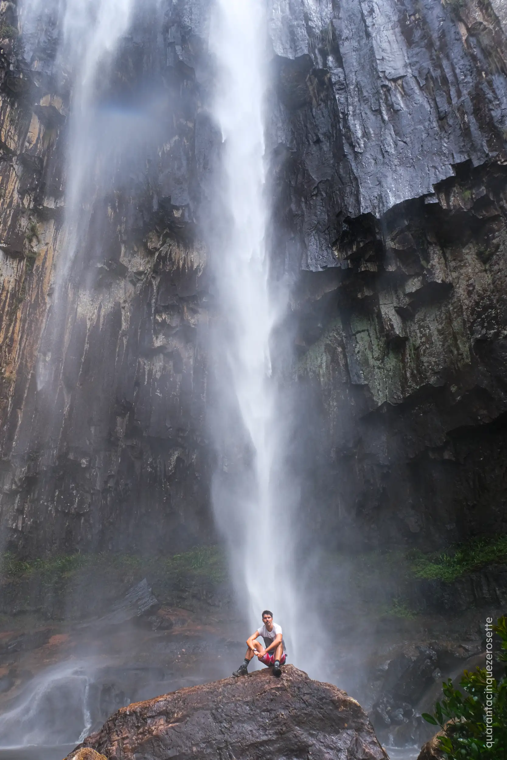 Springbrook National Park
