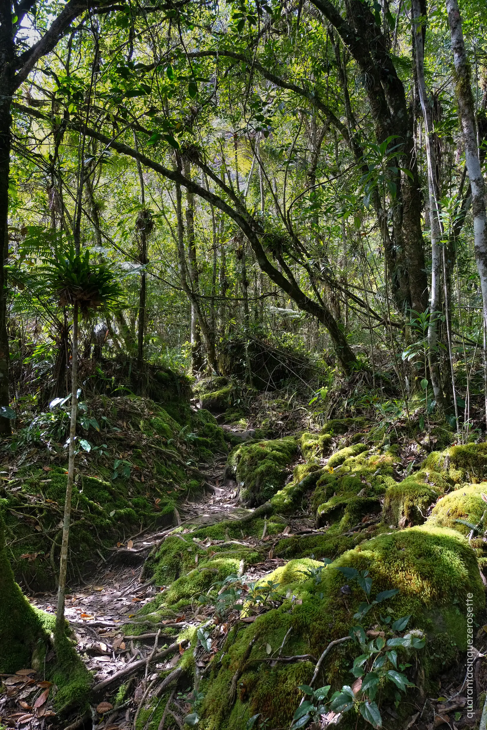 Valle do Pati, Chapada Diamantina