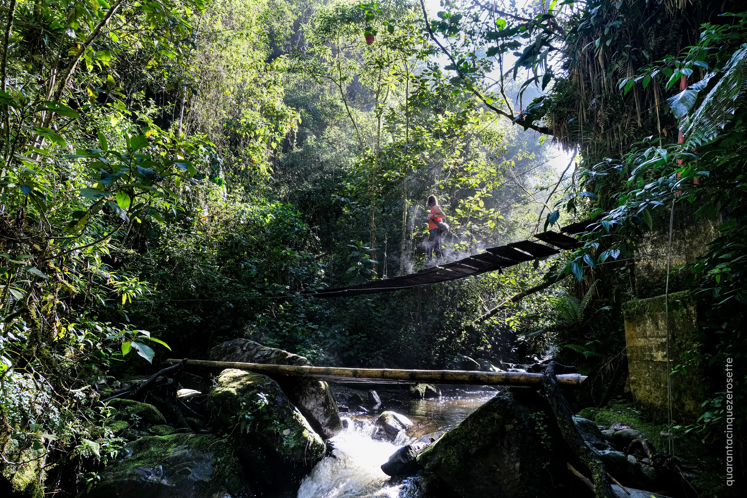 Valle de Cocora