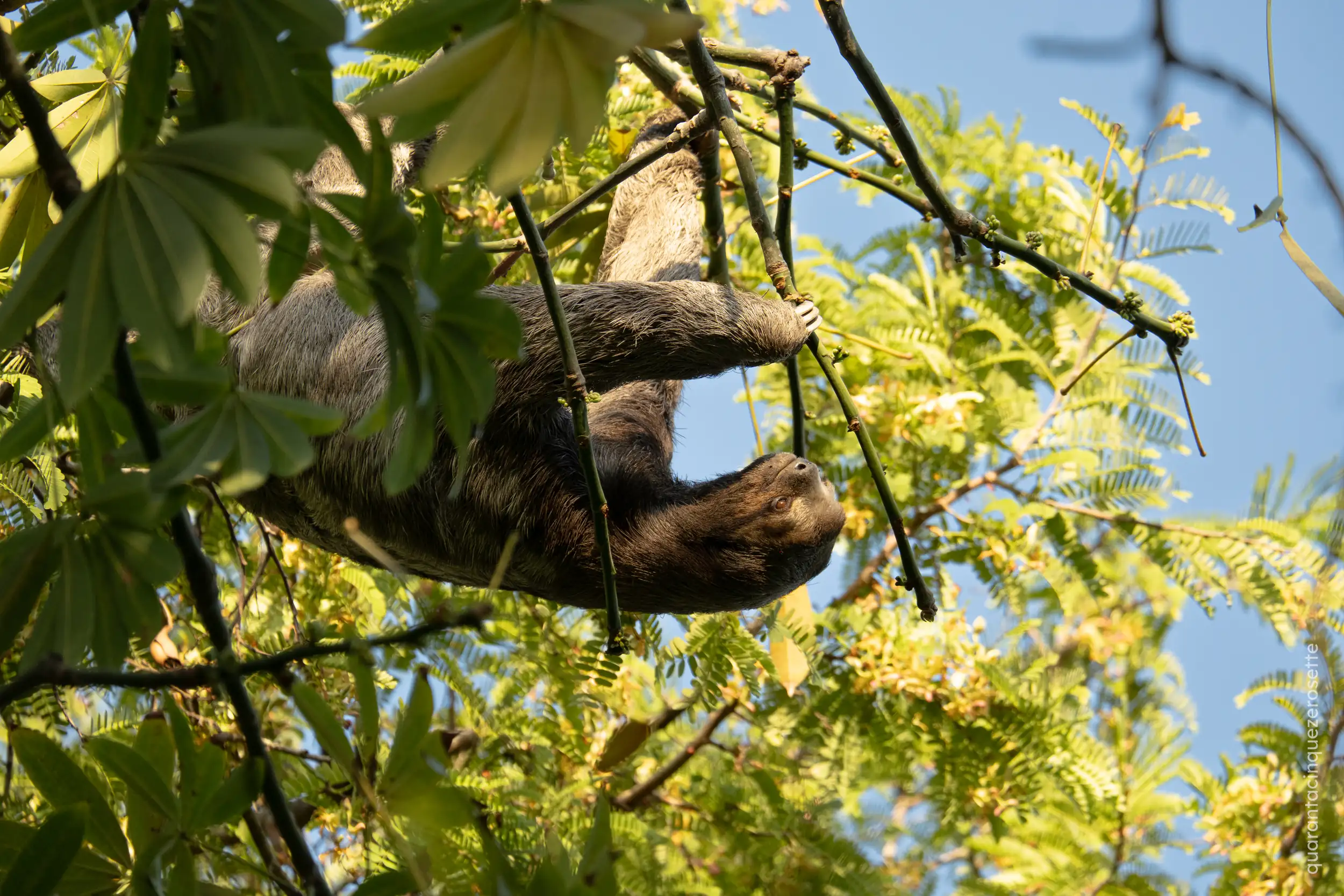 Parque Centenario, Cartagena de Indias