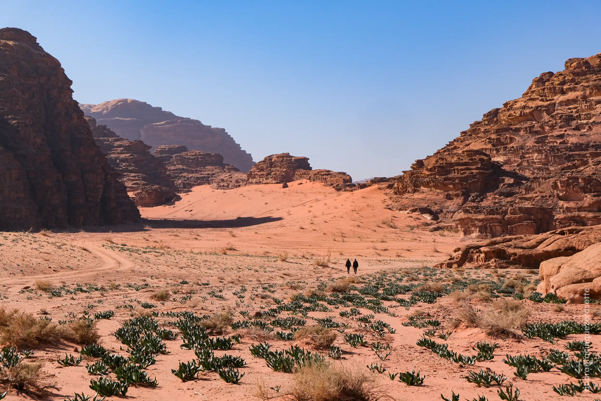 Wadi Rum