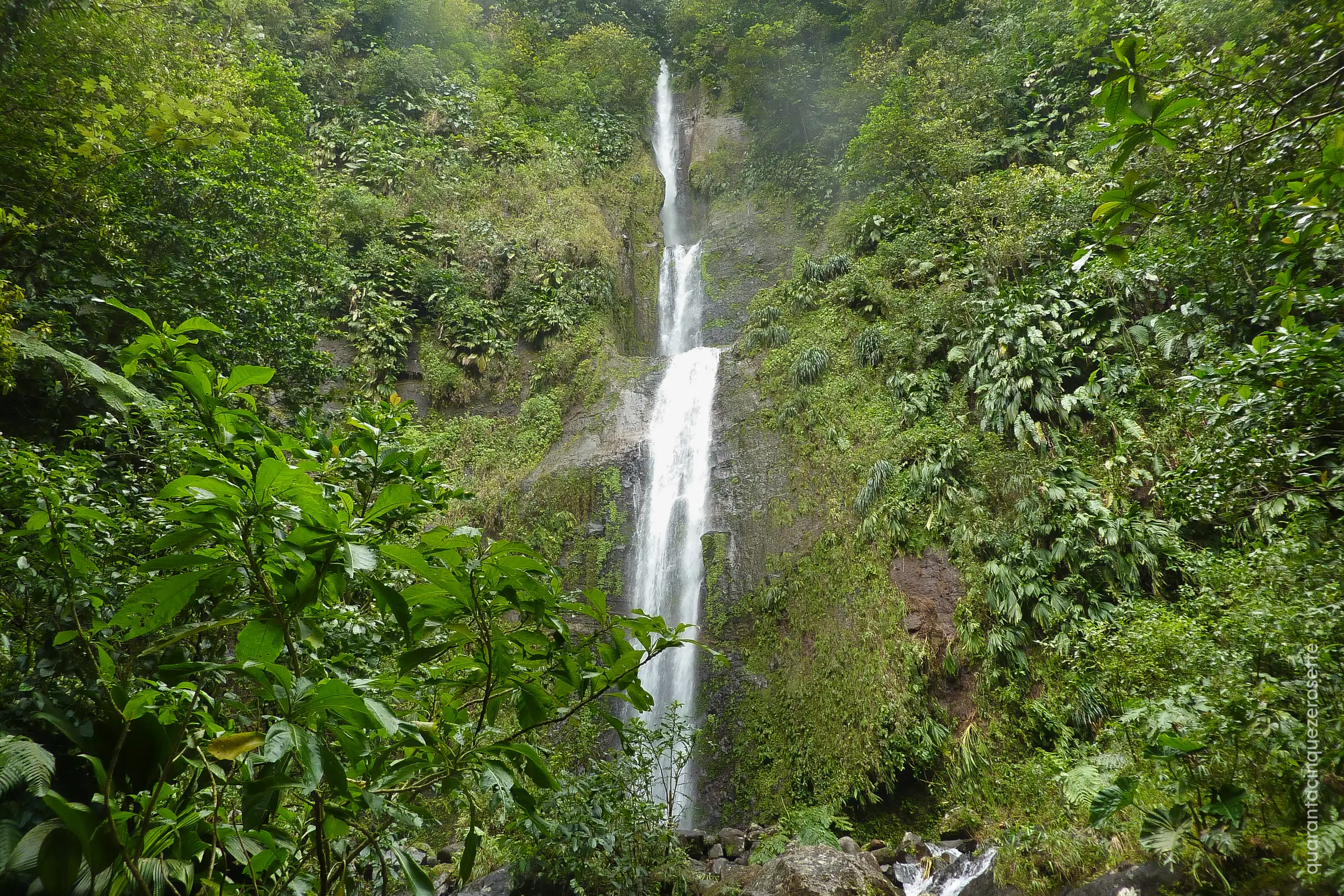 Chute Moureu, Basse Terre