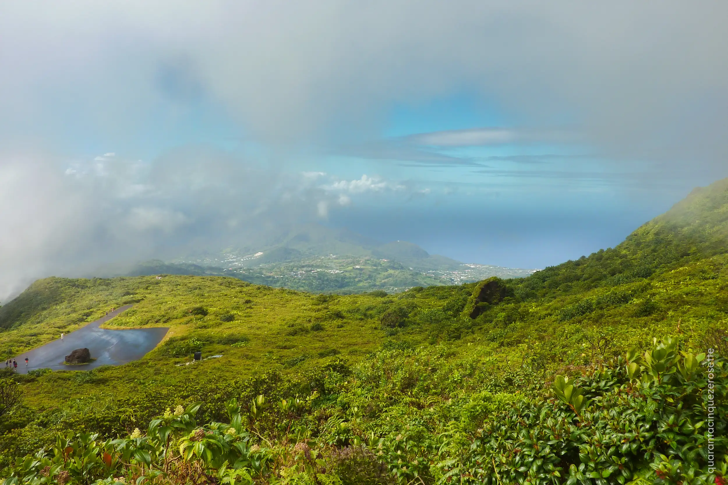 Parc Natural de la Soufriere, Basse Terre