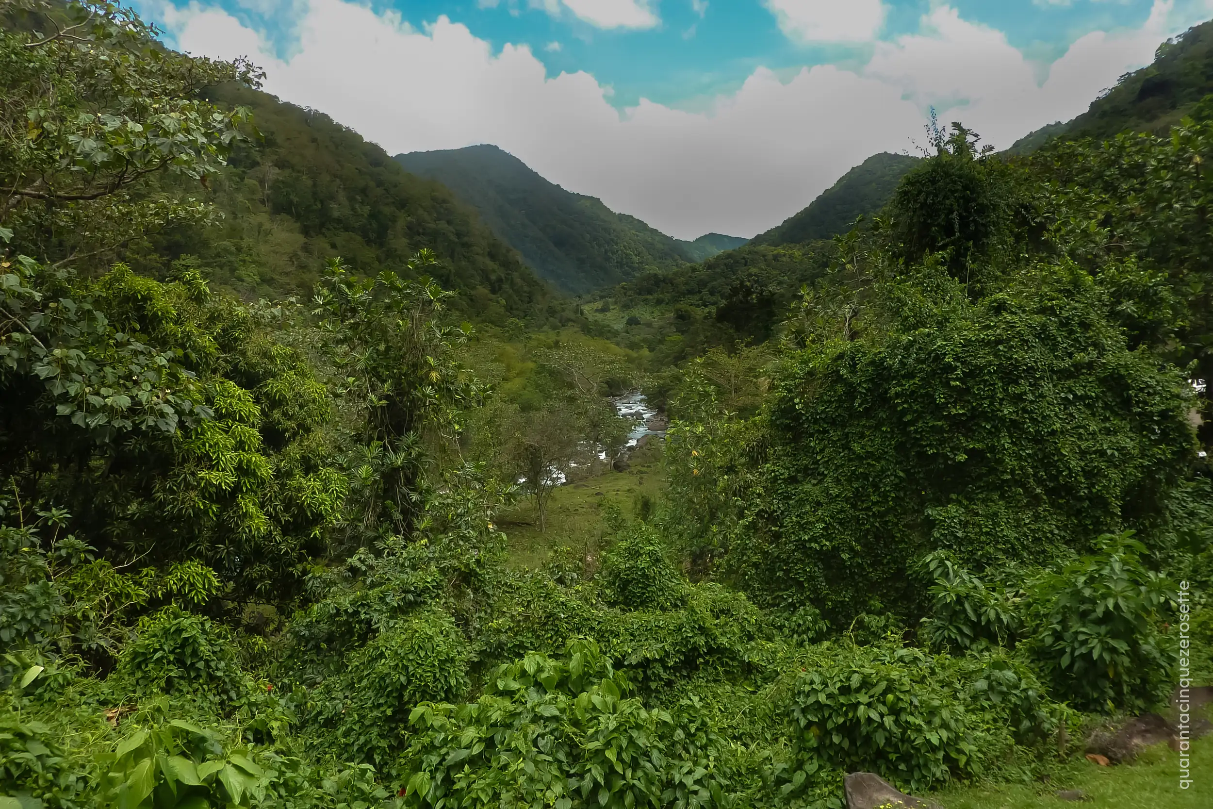 Parc Natural de la Soufriere, Basse Terre