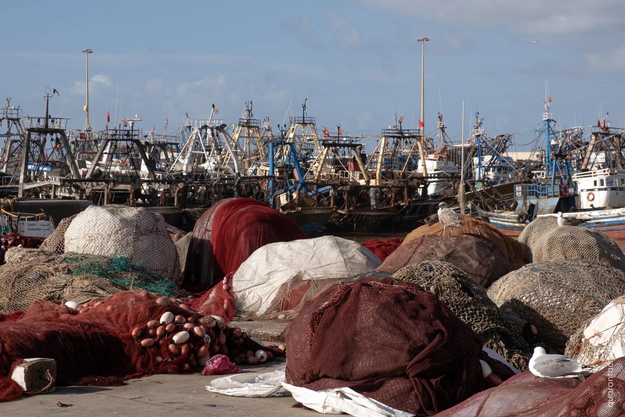 Essaouira