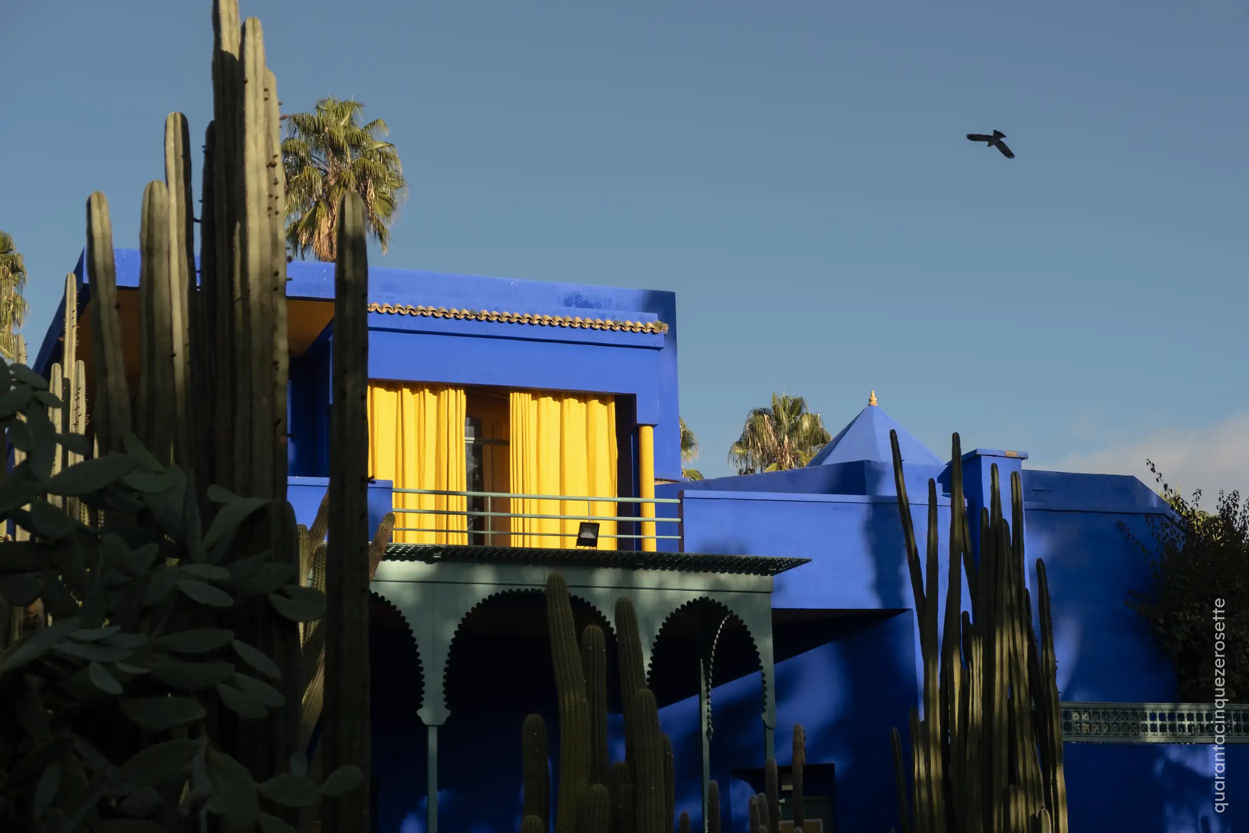 Jardin Majorelle, Marrakech