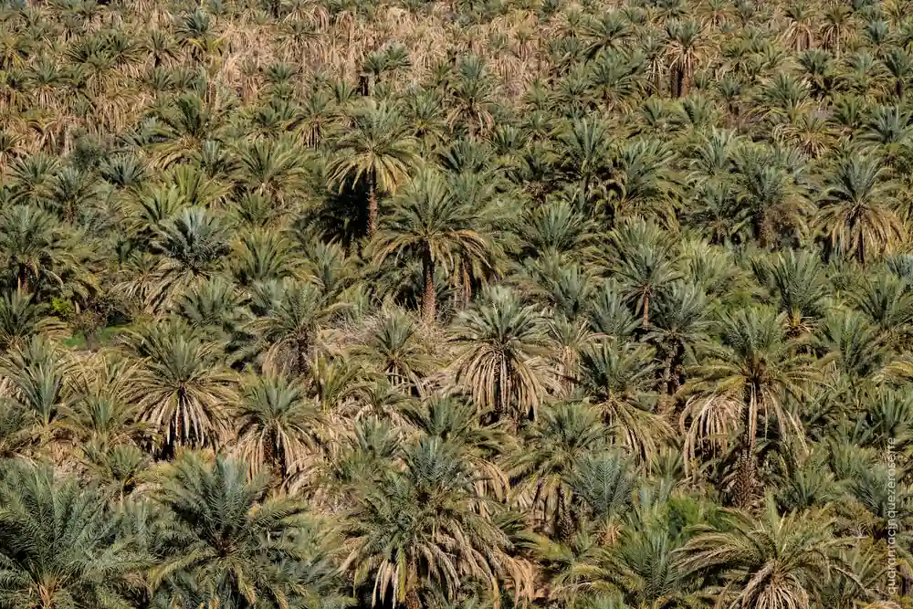 Marocco