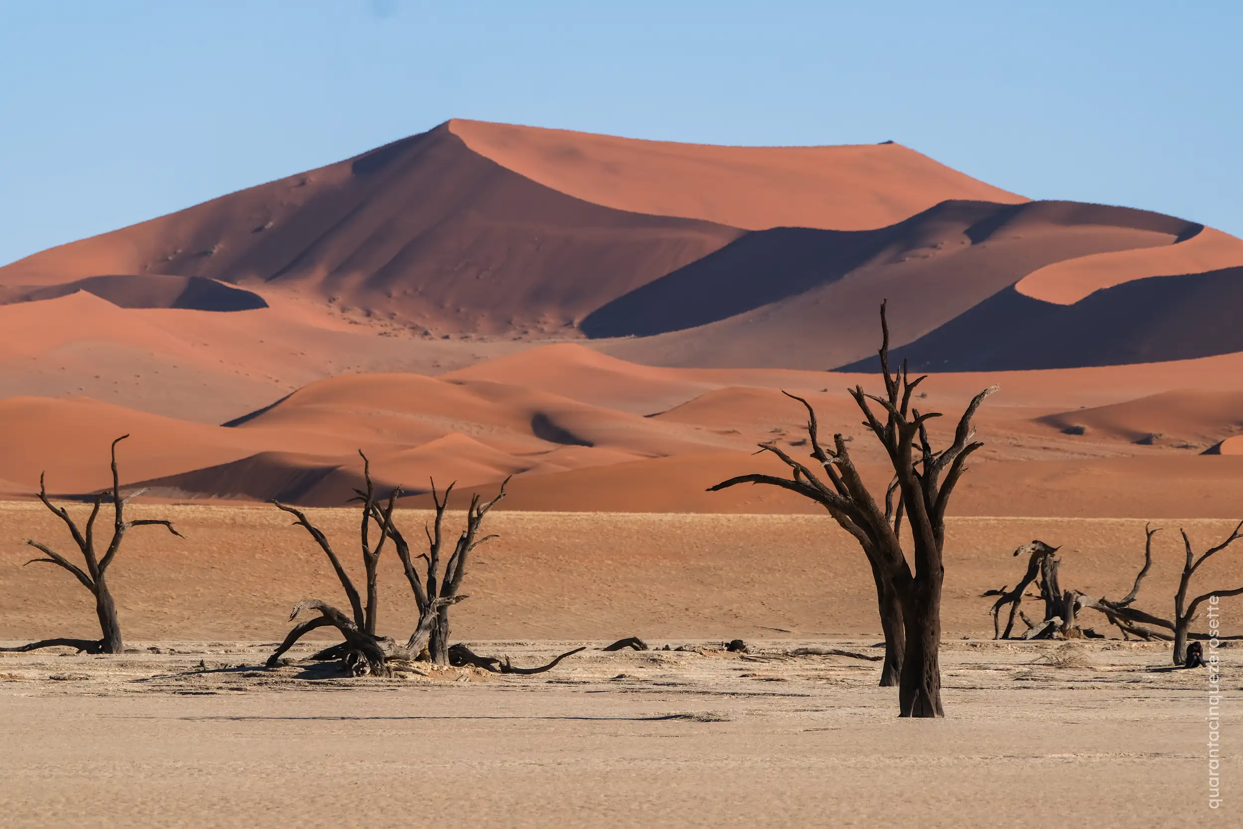 Deadvlei, deserto del Namib