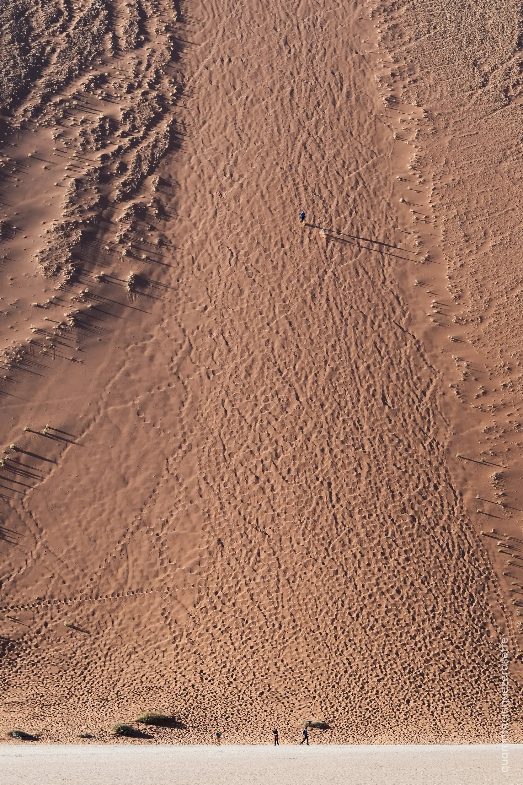 Deadvlei, deserto del Namib