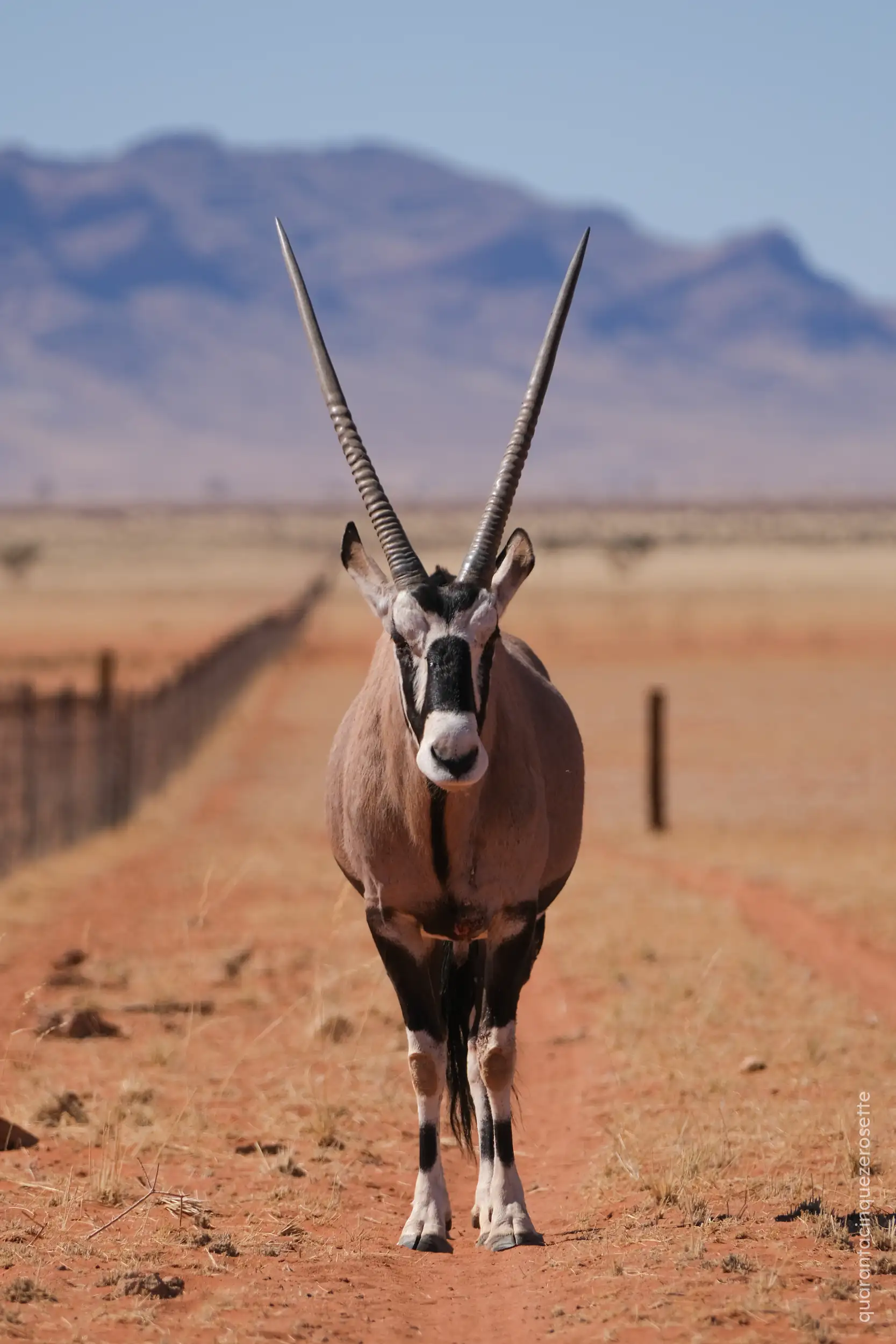 Namibrand Nature Reserve