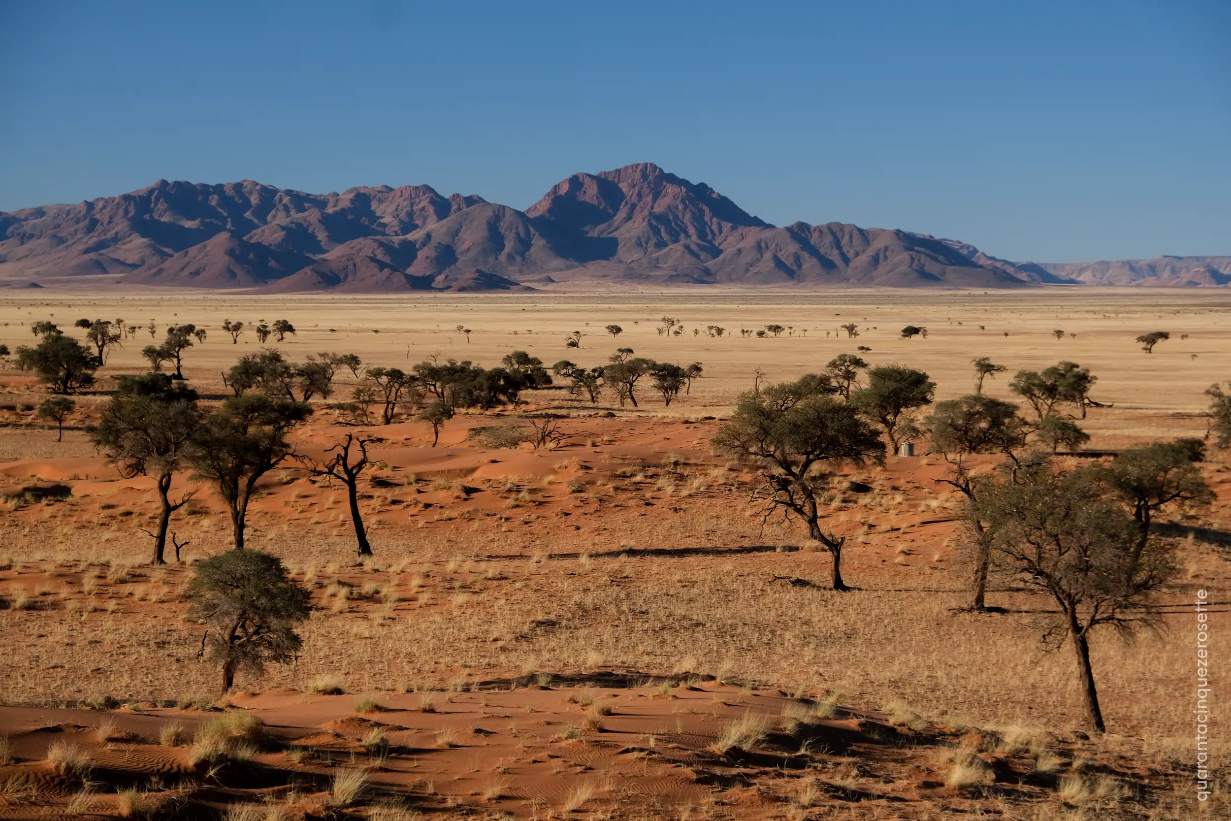 Namibrand Nature Reserve