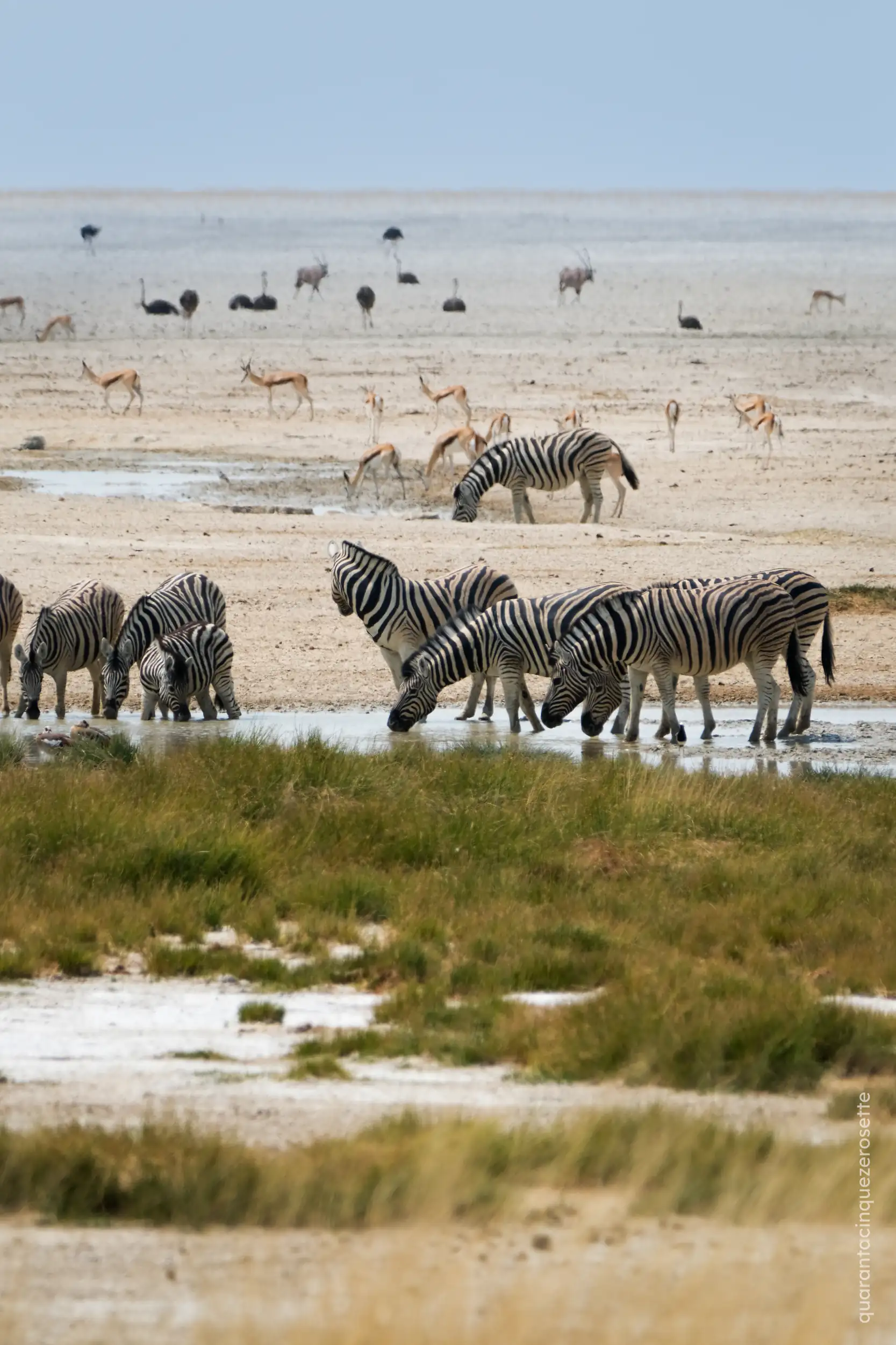 Etosha National Park