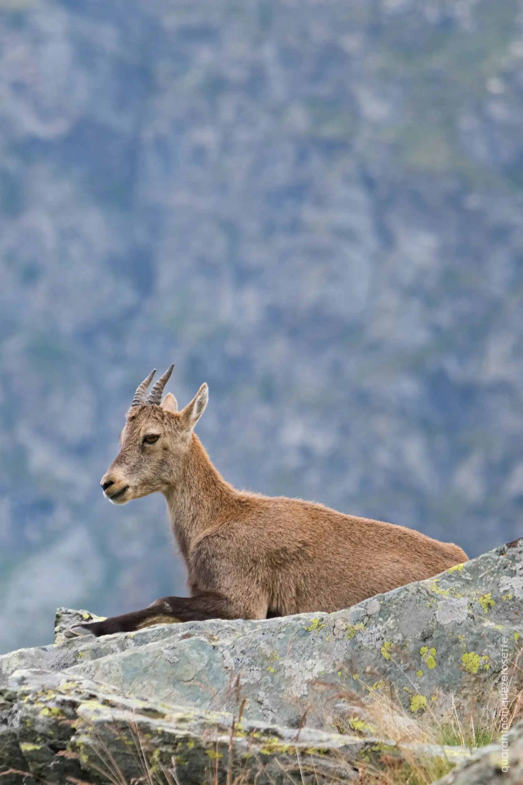 Parco naturale del Queyras
