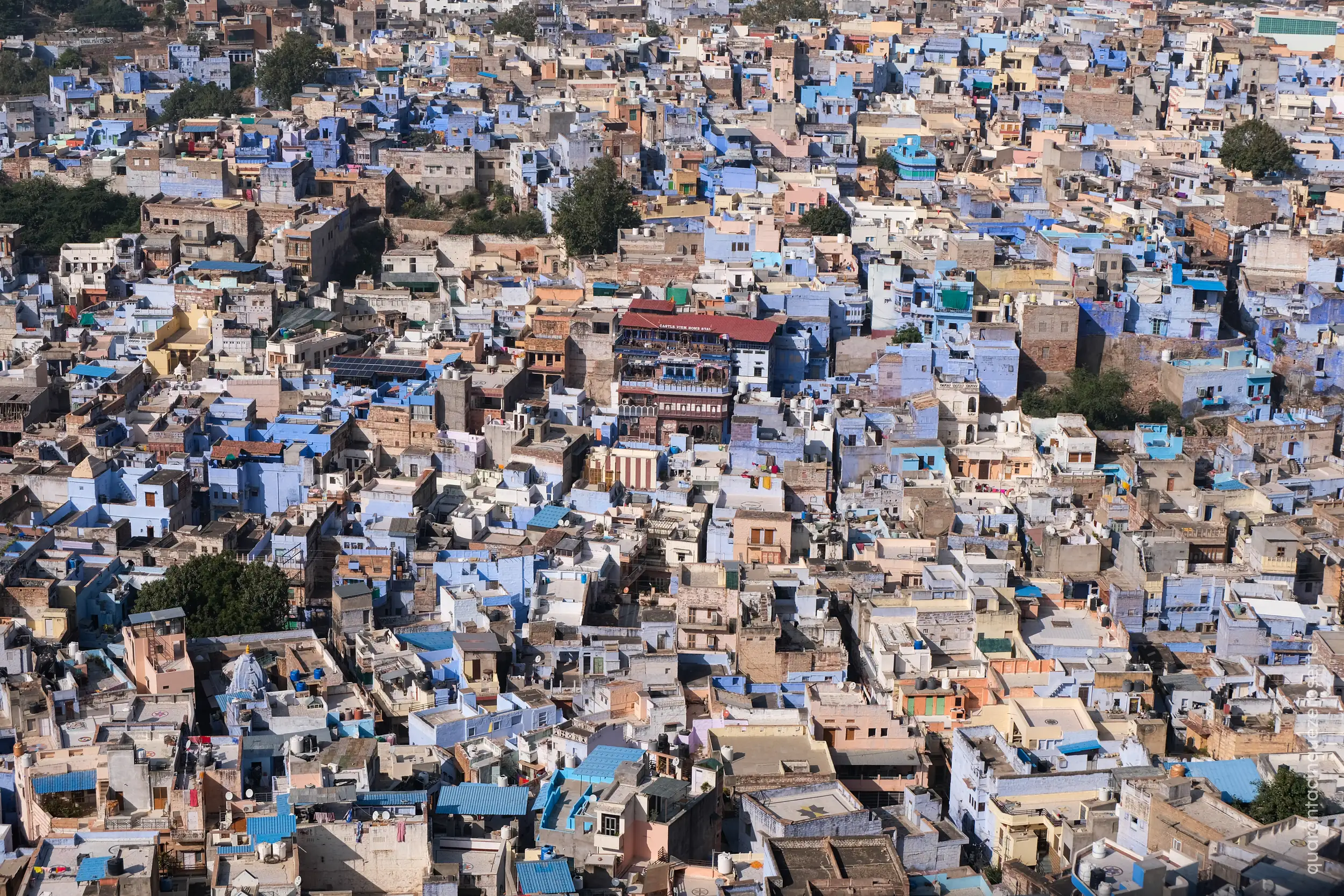 Jodhpur