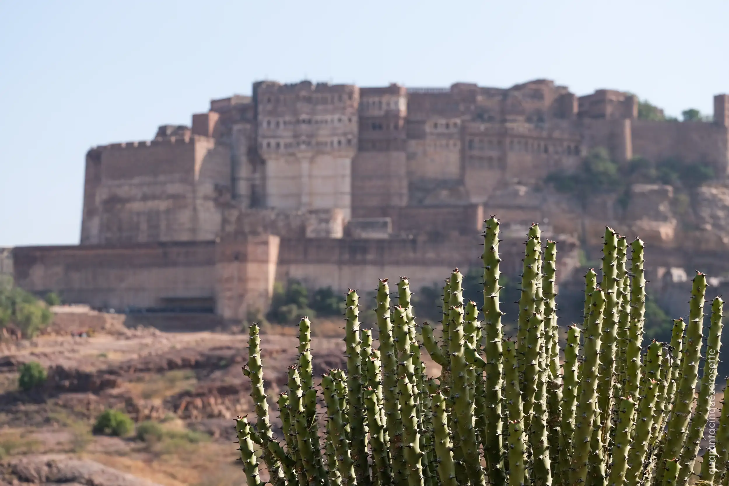 Mehrangarh Fort, Jodhpur