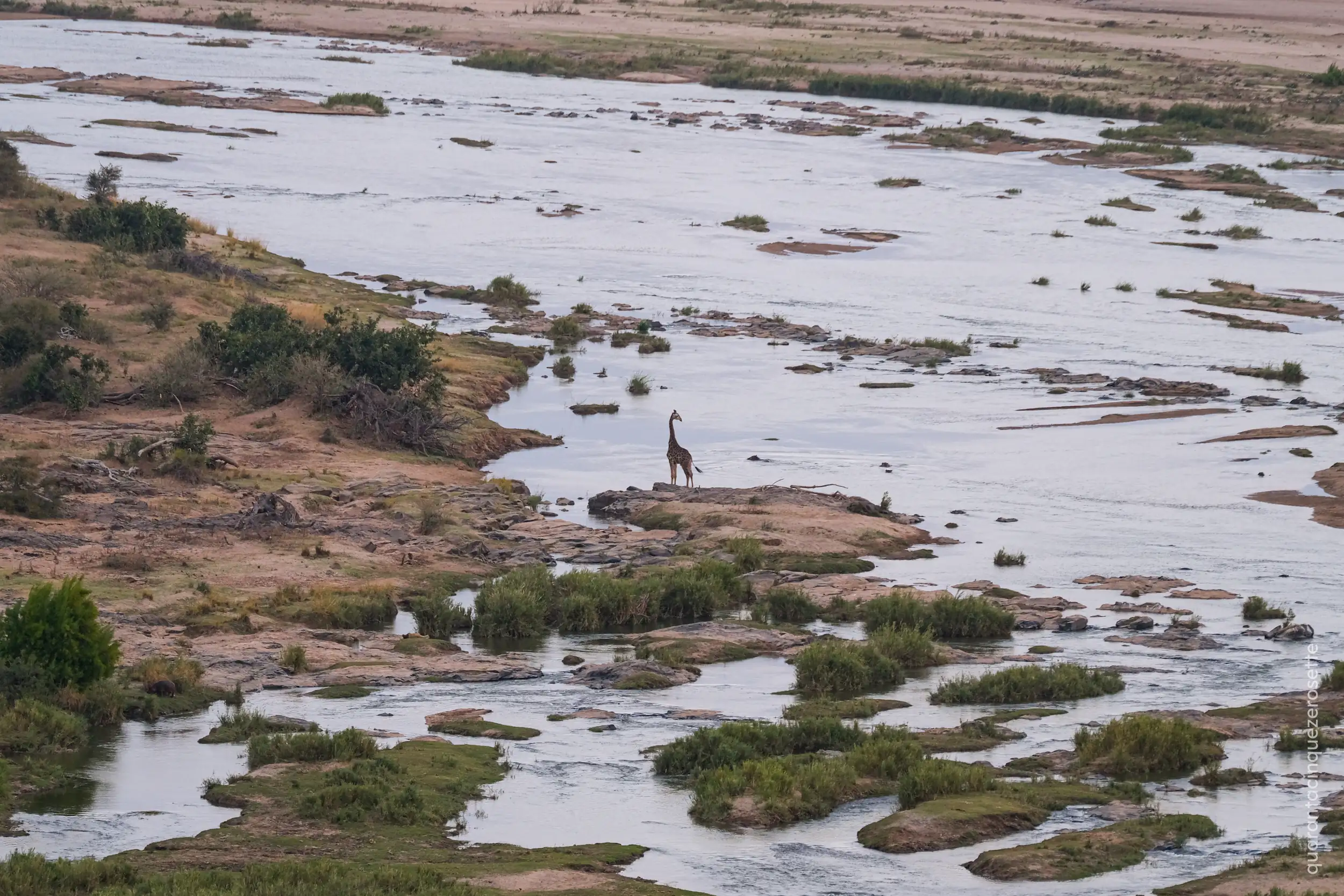 Olifants River, Kruger National Park