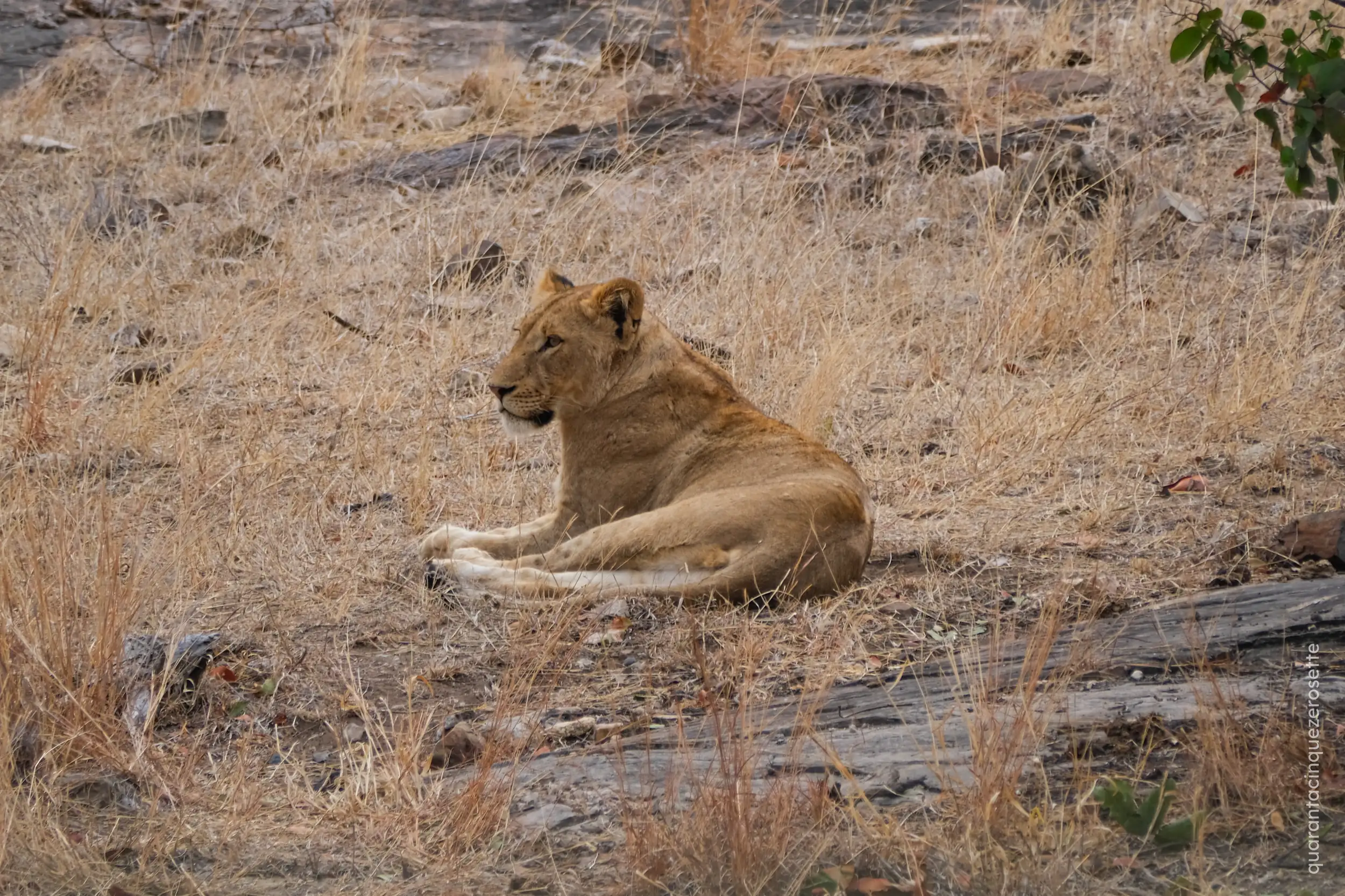 Kruger National Park