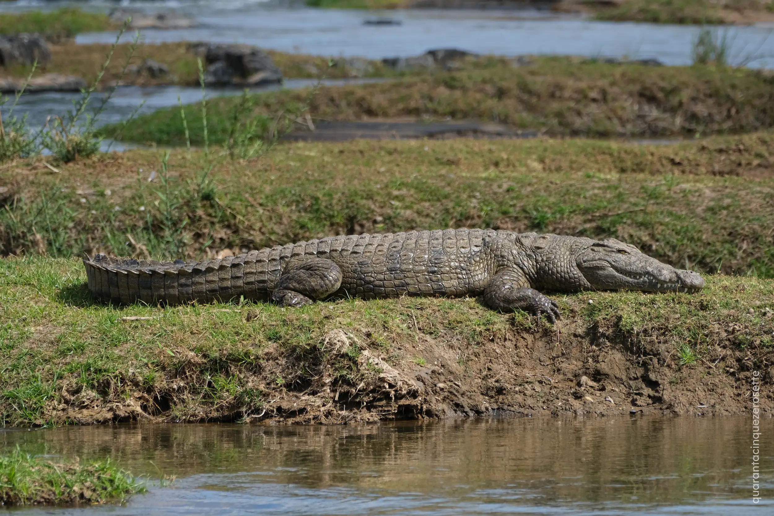 Olifants River, Kruger National Park