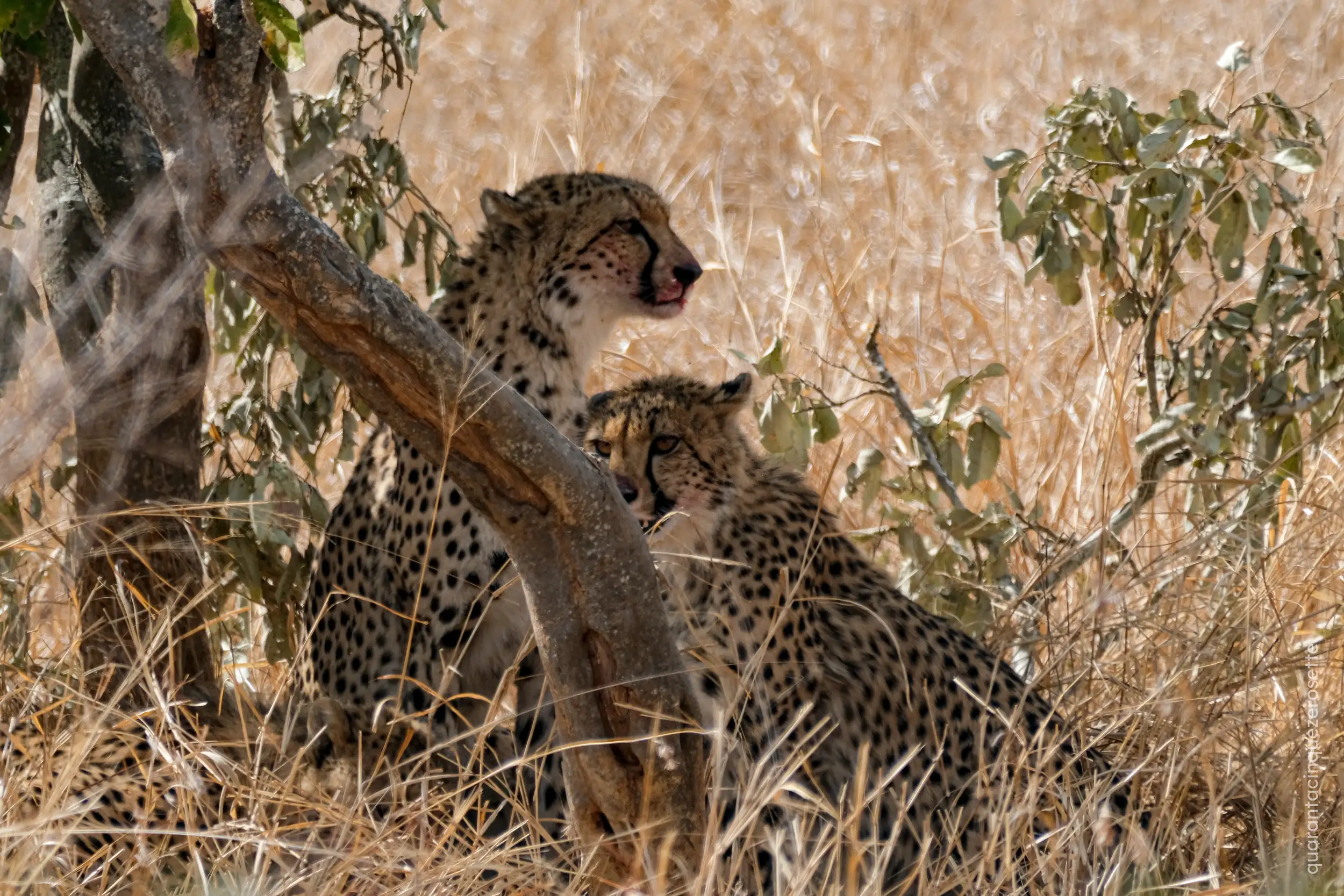 Kruger National Park