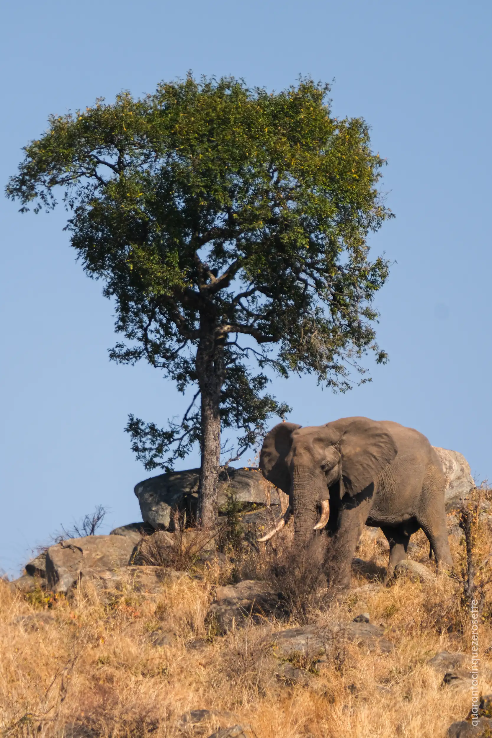 Berg-en-dal, Kruger National Park