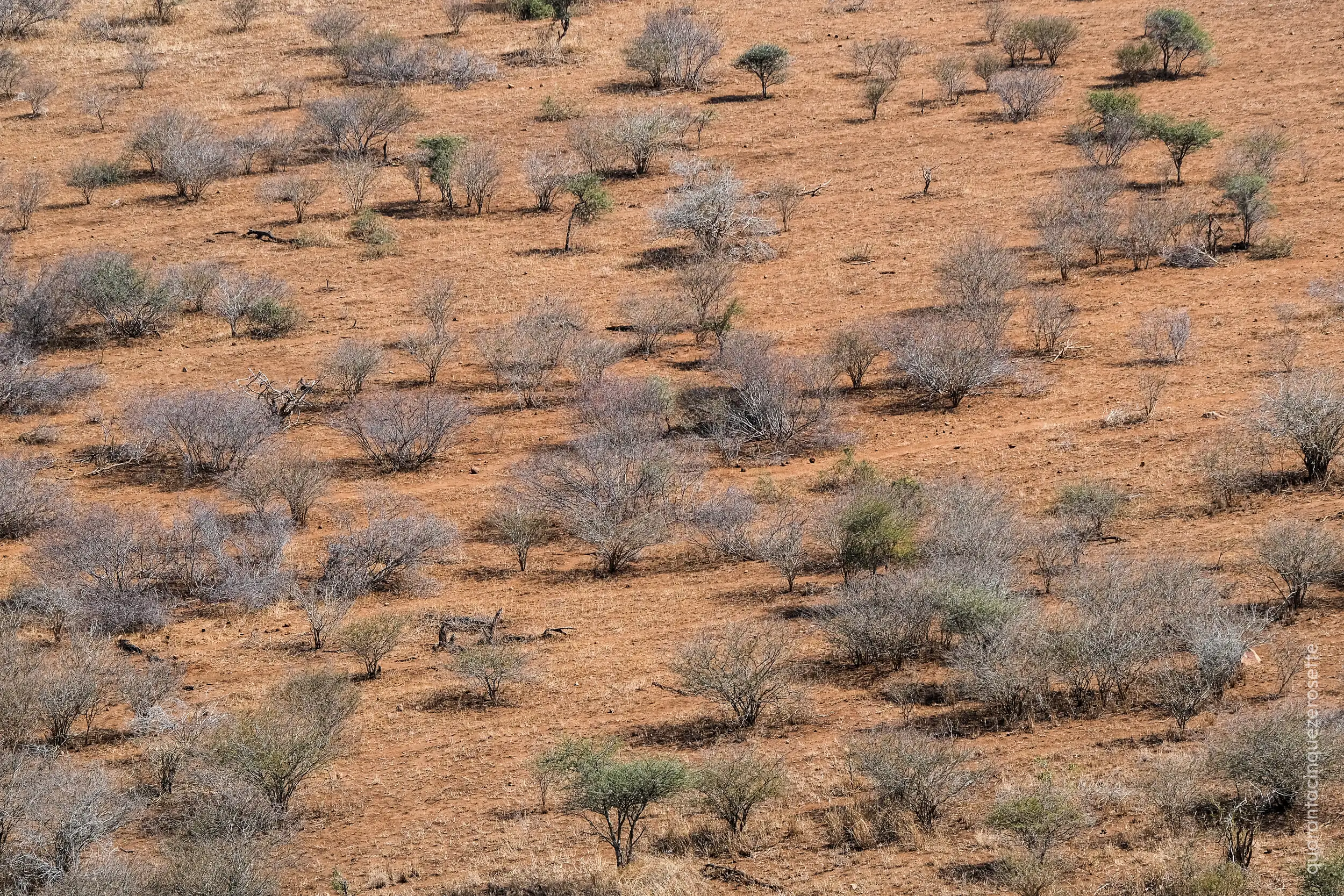 Nkumbe Lookout, Kruger National Park