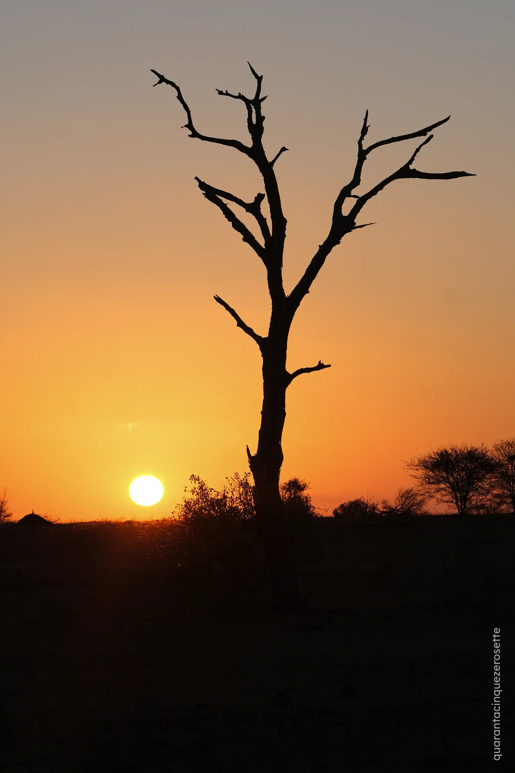 Timbawati River, Kruger National Park