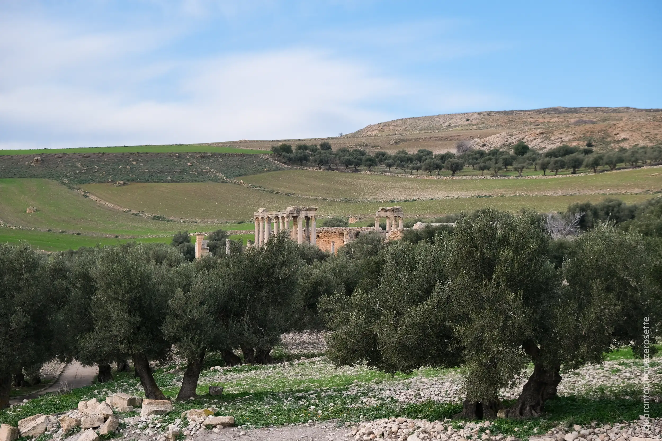 Tempio di Giunone Celeste, Dougga