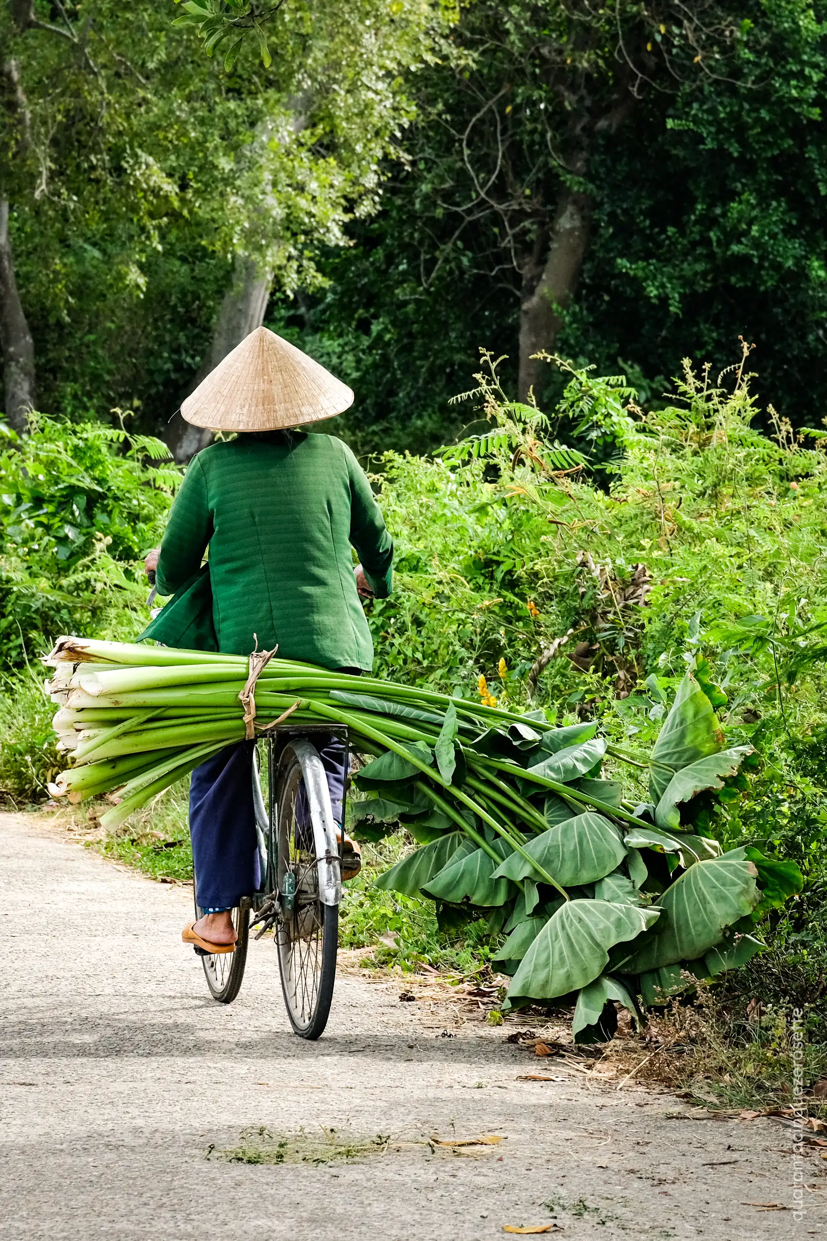 Da qualche parte vicino a Hue