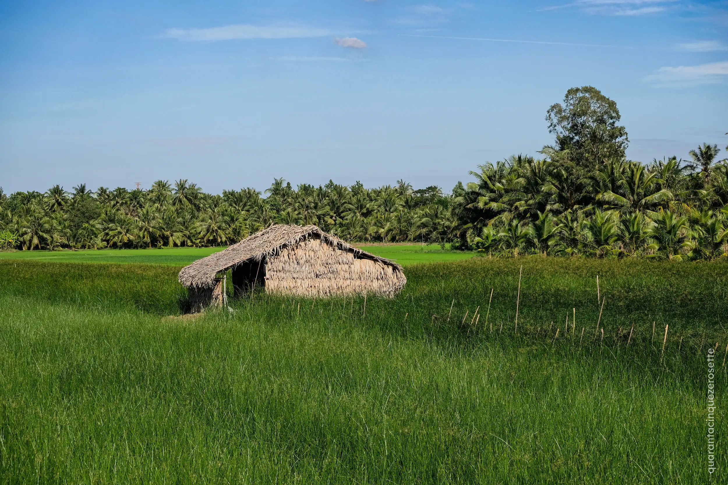 Da qualche parte nel delta del Mekong