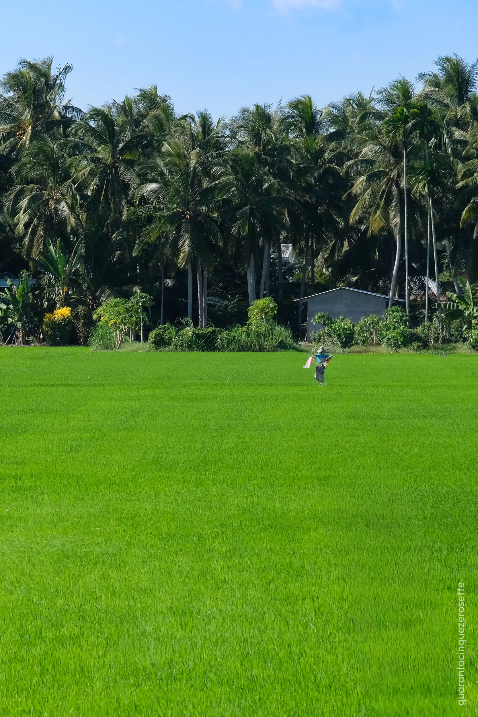 Da qualche parte nel delta del Mekong