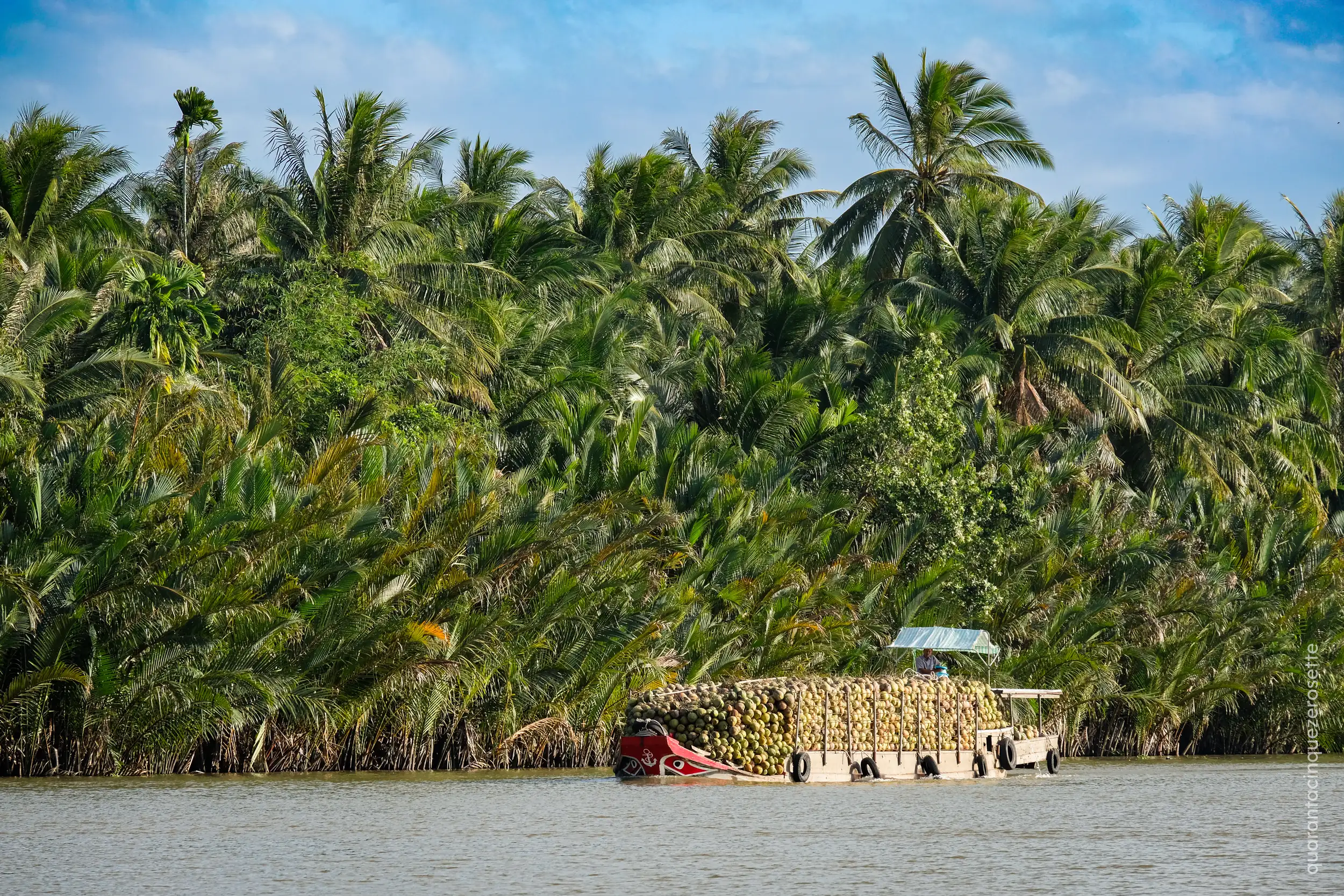 Da qualche parte nel delta del Mekong